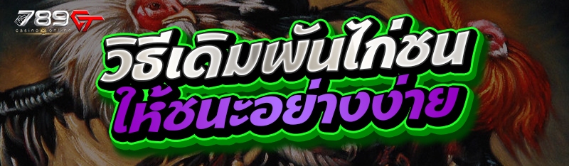 วิธีเดิมพันไก่ชนให้ชนะอย่างง่าย
