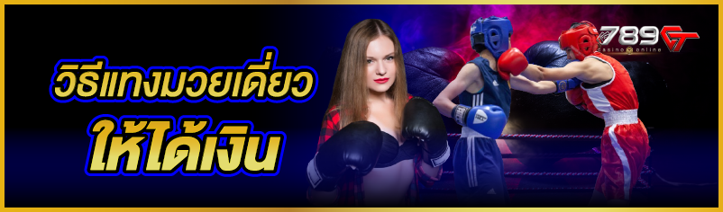 วิธีแทงมวยเดี่ยวให้ได้เงิน