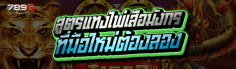 สูตรแทงไพ่เสือมังกร ที่มือใหม่ต้องลอง