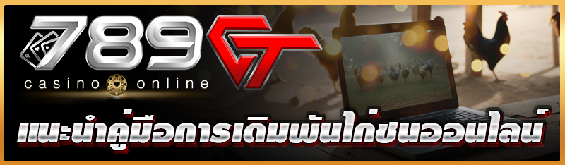 แนะนำคู่มือการเดิมพันไก่ชนออนไลน์